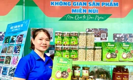 Thanh niên miền núi Quảng Ngãi đổi đời nhờ khởi nghiệp