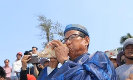 Những cây đại thụ Hoàng Sa