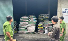 Bán hàng trăm tấn phân bón giả, giám đốc bị tuyên phạt 5 năm tù