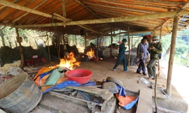 Cận cảnh bên trong 2 bãi vàng trái phép vừa được lực lượng chức năng truy quét 