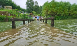 Cây cầu mỗi năm ngập hơn 6 tháng, lãnh đạo đi kiểm tra thì chẳng thấy mặt cầu đâu