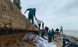 Triều cường xâm lấn, khoét sâu vào lòng đường, uy hiếp hàng chục nhà dân. Ảnh: Nguyễn Ngọc