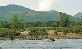 Suối Nước Lác (xã Sơn Kỳ, huyện Sơn Hà), nơi xảy ra vụ việc.