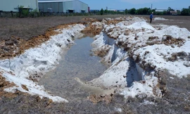 Chủ tịch Quảng Nam chỉ đạo điều tra vụ đào trộm cát trắng trong khu công nghiệp