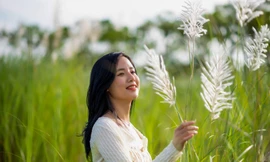 Cánh đồng lau trắng đẹp mê mẩn thu hút giới trẻ Đà Nẵng