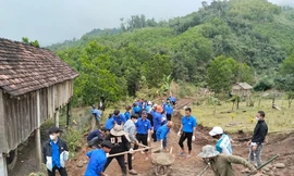 Tuổi trẻ Quảng Ngãi xung kích, tình nguyện vì cộng đồng