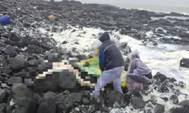 Phát hiện thi thể nam giới trôi dạt vào bờ biển Quảng Ngãi