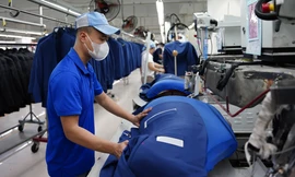 Đà Nẵng thưởng Tết cao nhất 700 triệu đồng