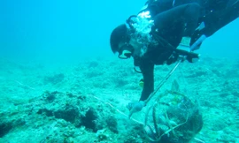 Nhặt rác thải dưới đáy biển Lý Sơn