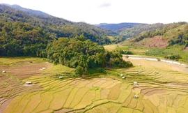 Thích thú đứng giữa Kon Tum mà như ruộng bậc thang Tây Bắc
