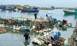 Bè hút cát ‘tái chiếm’ vũng neo đậu tàu thuyền Lý Sơn 