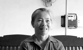 Giảm nhẹ tai biến nhờ sản phẩm thiên nhiên