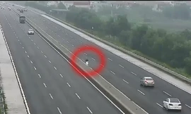 Hình ảnh cắt từ video.