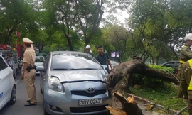 Hiện trường vụ việc.