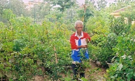 Bất ngờ vì xuất thân 'xó chợ' của tỷ phú miền Trung