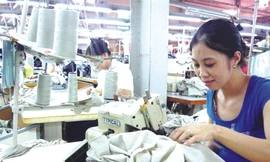 'Mổ xẻ' chuyện lương tại VN tăng trưởng cao hơn thế giới