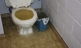 Gây lụt nhà vệ sinh vì tìm điện thoại di động