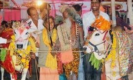 Chi hơn 320 triệu đồng cho đám cưới...bò