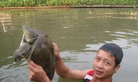 Làm giàu từ thất bại của cha