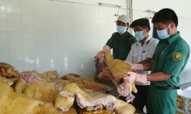 Số thịt bẩn này nếu được hóa phép sẽ thành đặc sản ở các quán nhậu. Ảnh: Lê Nguyễn