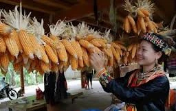 Vào bản “ngủ thăm” cùng sơn nữ