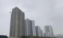 Nhiều doanh nghiệp đề nghị xem xét giảm hoặc gia hạn tiền thuê đất