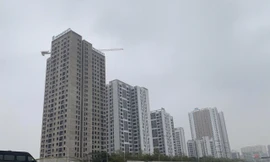 Đề xuất không đấu giá đất với dự án ưu đãi đầu tư (Ảnh minh họa) 