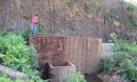 Phơi nắng hàng loạt