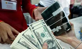 Đổ xô vay... USD