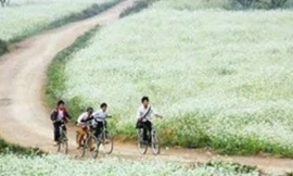 Thư nông dân Mộc Châu mắng dân phượt