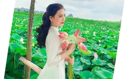 Sen Ninh Bình mang vẻ đẹp khó cưỡng