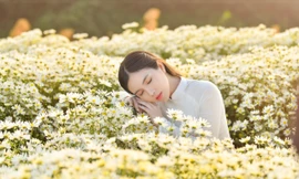 Cựu nữ sinh Đại học Gia Định ra Hà Nội chụp ảnh cùng Cúc Họa Mi