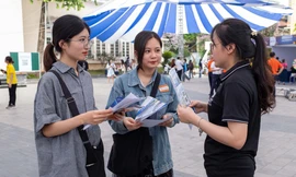 Sinh viên chấp nhận mức lương thấp không phải để sống mà để học hỏi, hoàn thiện bản thân