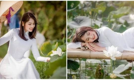 Khó rời mắt trước "đóa sen" trắng ngần