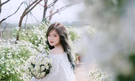 Nàng mẫu ảnh sinh năm 2000 khoe nhan sắc trong trẻo giữa vườn cúc họa mi