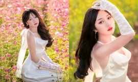 Nàng mẫu ảnh Gia Lai khoe nhan sắc giữa cánh đồng hoa cánh bướm