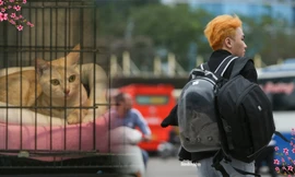 Giới trẻ ‘đau đầu’ chuyện gửi thú cưng ngày Tết