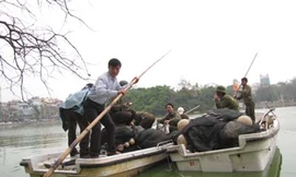 Tiếp tục tìm kiếm cá thể rùa Hồ Gươm thứ hai