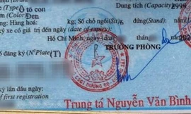 Chuyên gia nói gì về cà-vẹt ô tô sai tiếng Anh?