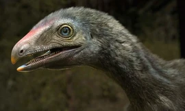 Lộ diện sinh vật lạ đuôi khủng long, tay khỉ, đầu chim ăn thịt