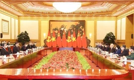 Tổng Bí thư Nguyễn Phú Trọng hội đàm với Tổng Bí thư, Chủ tịch Trung Quốc