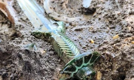 Đào mộ cổ, choáng váng với báu vật 3.500 năm vẫn tỏa sáng