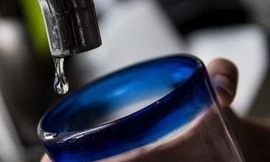 Chưng cất nước uống từ tiết lợn