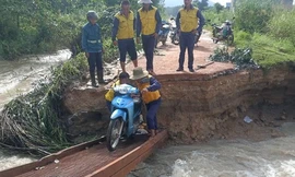 Bình Thuận: Mưa lớn, lũ quét cuốn trôi hàng chục tấn cá, cây nông nghiệp, thiệt hại trên 5 tỷ đồng