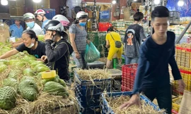 Mãng cầu Xiêm 'sốt' điên đảo cõi mạng, 3h sáng khách xếp hàng tranh mua