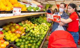 Quý 2/2023, Masan tiếp tục đà tăng trưởng hiệu quả, bền vững 