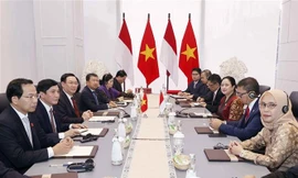 ‘Việt Nam là đối tác quan trọng chiến lược của Indonesia ở khu vực’