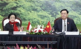 Việt Nam và Indonesia cần tăng cường hơn nữa quan hệ hợp tác