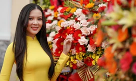 Người đẹp Du lịch dự khai trương Văn phòng báo Tiền Phong ở Cần Thơ