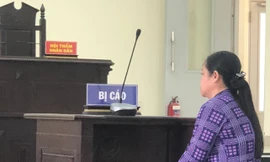 Ham lãi, bị ‘nữ quái’ lừa hàng chục tỷ 